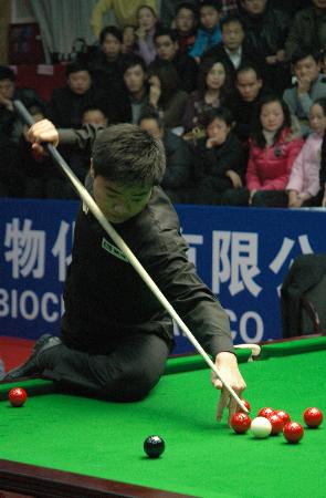 盐城国际足 盐城国际足