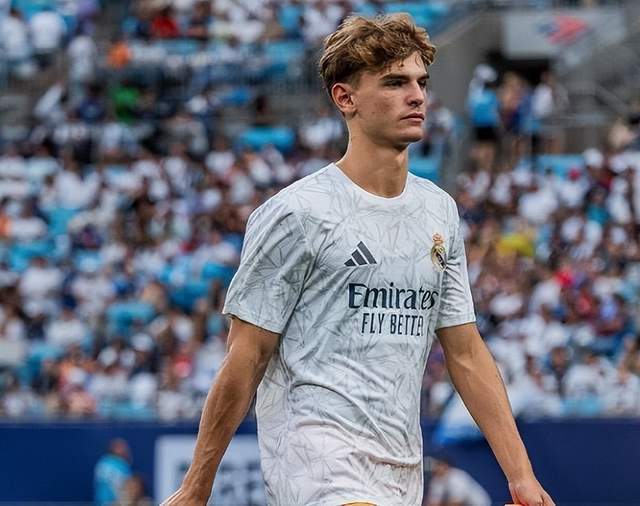 图多尔与法 图多尔与法